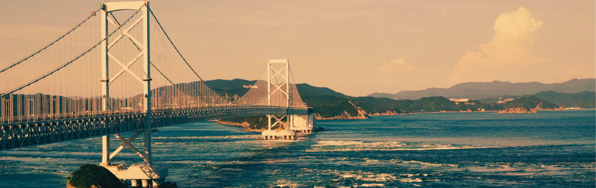 「受け継ぐだけじゃない、育て直す農地のかたち」